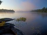 Weller Pond 16 : Vermont Canoe Spring